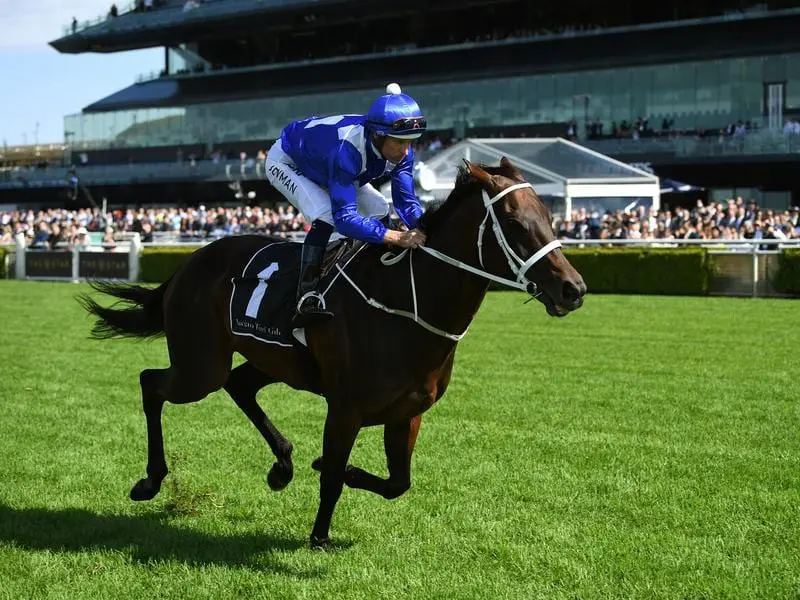 Champion Winx has been voted Australia's Horse of the Year for an unprecedented fourth time. winx