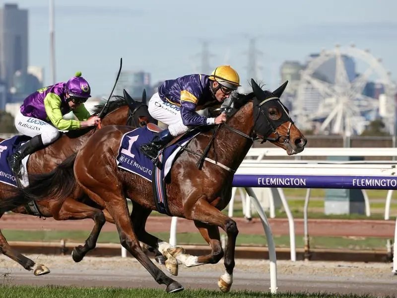 The Mike Moroney-trained Buffalo River can stake his Golden Eagle claims when he runs in Sydney. buffalo river