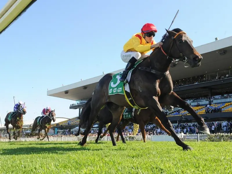 The Anthony Cummings-trained Mizzy will stake her claim for the $7.5 million Golden Eagle. mizzy