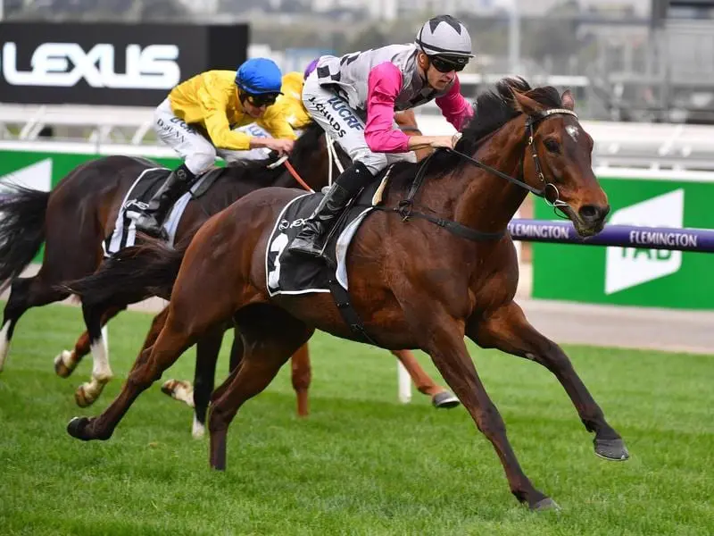 Surprise Baby has been penalised 1kg for the Caulfield and Melbourne Cups after his Flemington win. surprise baby