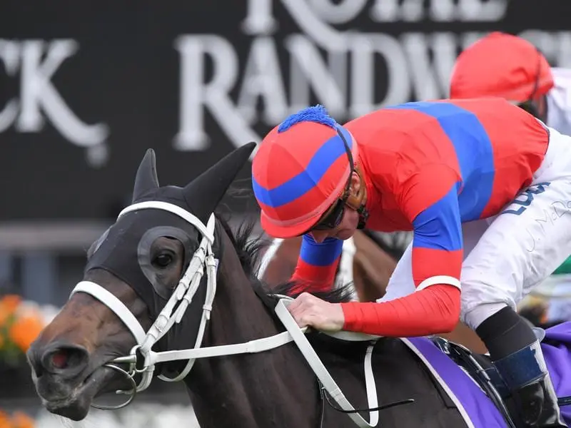 Verry Elleegant will gallop at The Valley before a decision whether she runs in the Caulfield Cup. verry elleegant