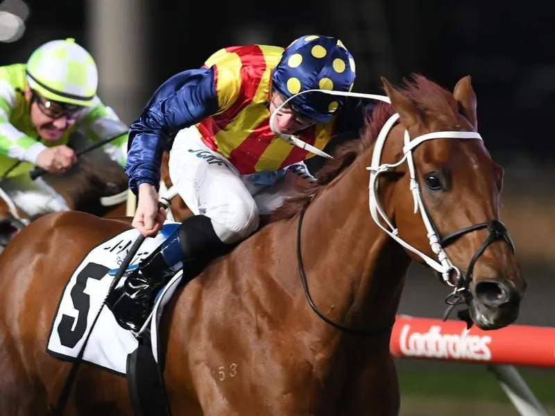 Nature Strip has been secured by slot holder James Harron for the $14 million Everest. Jockey James McDonald rides Nature Strip to victory.