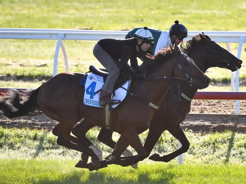 Lindsay Park imports Cape Of Good Hope (outside) and Constantinople.