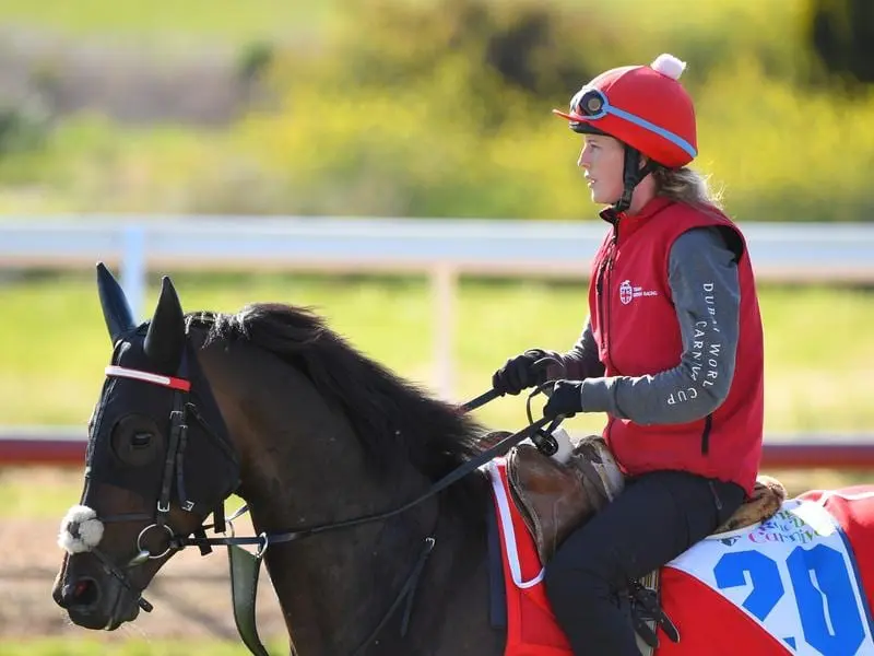 English horse Prince Of Arran is among the international entries for the Caulfield Guineas meeting. prince of arran