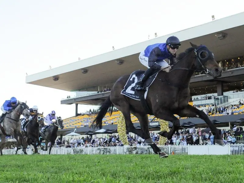 The Mark Newnham-trained Shadow Hero dominates betting for the Spring Champion Stakes. shadow hero