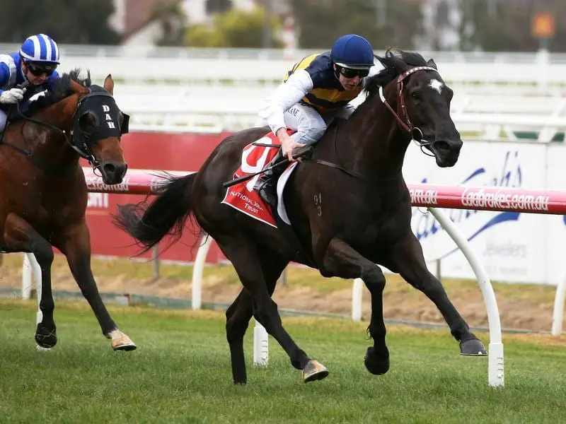 Night's Watch (r) is working well towards the Toorak Handicap after missing the Turnbull. night's watch