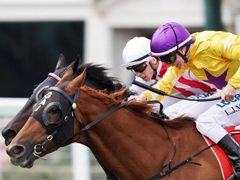 Wolfe wins the Coongy Cup at Caulfield.