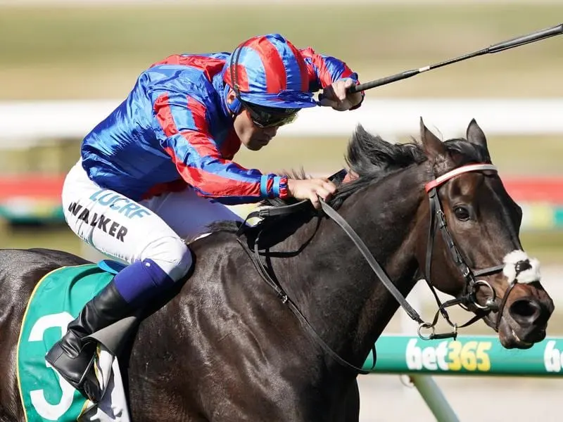 Prince Of Arran has beaten True Self in the Geelong Cup.