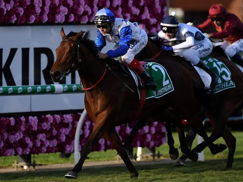 New Zealand sprinter The Bostonian is second favourite to win the Group One Manikato Stakes. The Bostonian in winning form.