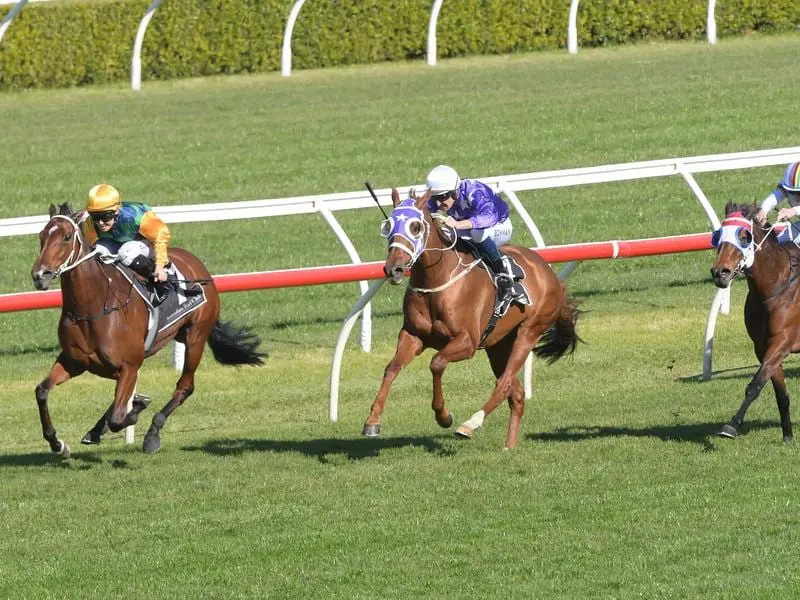Victorian Racing has announced a major financial commitment to the welfare of retired racehorses. Three horses on the track at Randwick Racecourse in Sydney.