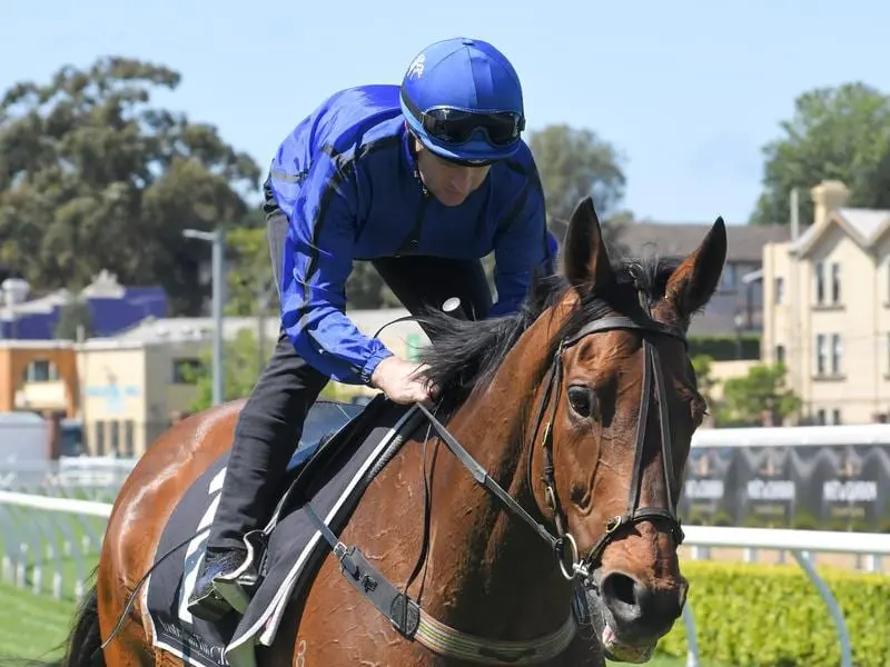 Happy Clapper will run in the Craven Plate at Randwick.