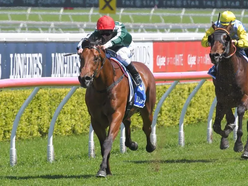 Midweek winner Faretti will take a step up to stakes company in the Brian Crowley at Randwick. faretti