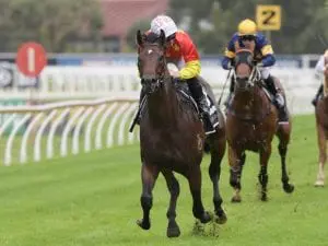 Race fitness gives Cosmic Force advantage