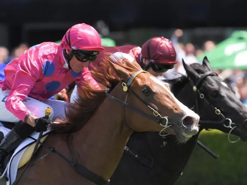 Two-year-old Time Is Precious (left) has surprised her trainer Gerald Ryan in winning at Randwick. Time is Precious (left) wins the Victory Vein Plate.