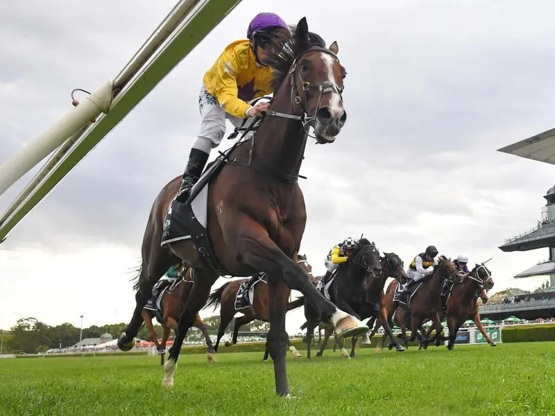 Hush Writer wins the St Leger Stakes at Randwick.