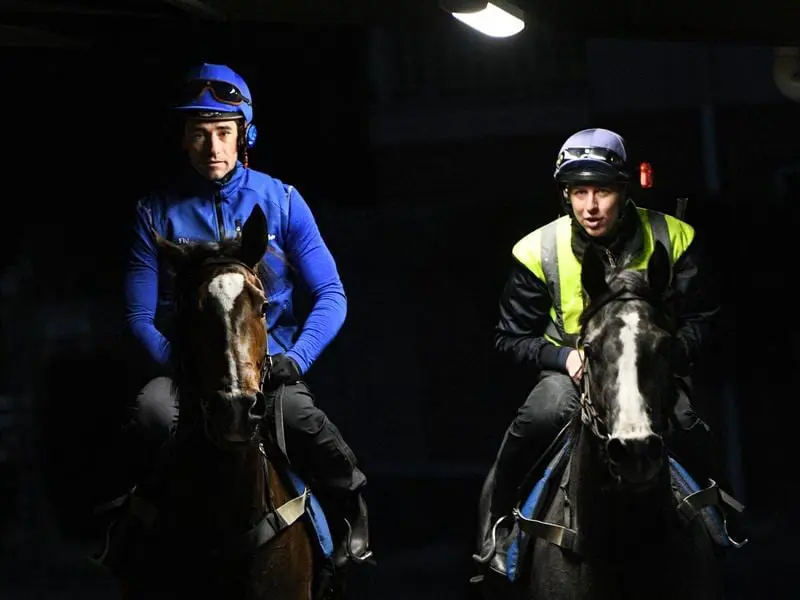 Thousand Guineas favourite Flit (l) has drawn barrier two in the Group One race at Caulfield. Flit (l)