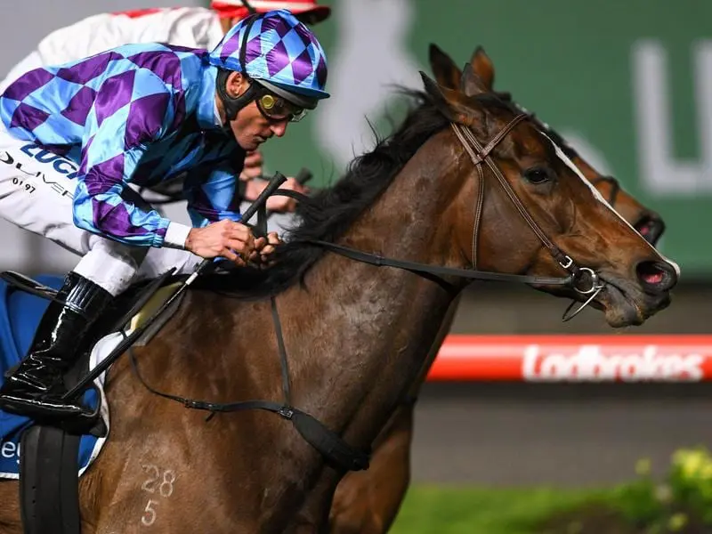 The Cox late beckons if talented mare Princess Jenni can win the Toorak Handicap at Caulfield. princess jenni
