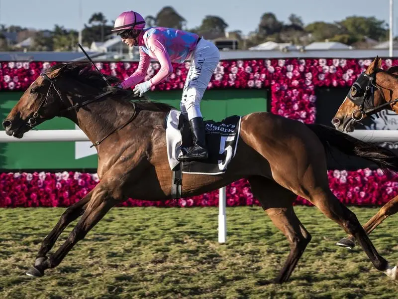 Looks Like Elvis will launch a bid for a Caulfield Cup berth.