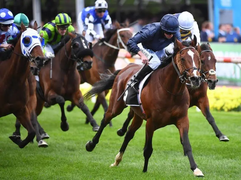 Hunting Horn wins the Moonee Valley Gold Cup.