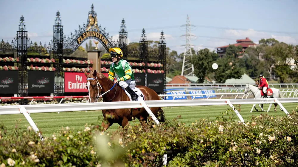 Flemington Racecourse, Melbourne Cup