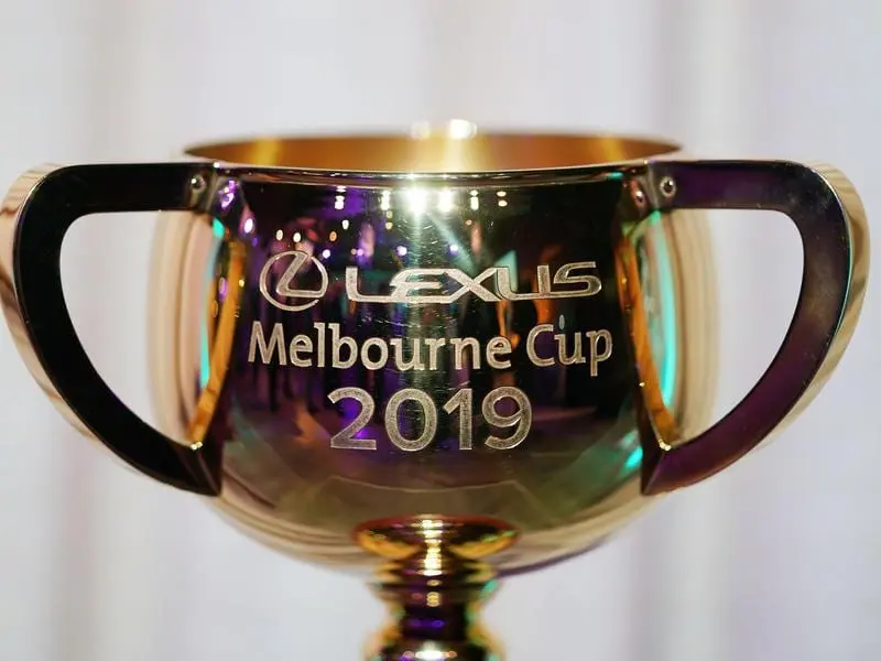 A full field of 24 will take part in the Melbourne Cup at Flemington on a soft track, cup
