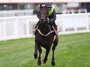 Mustajeer