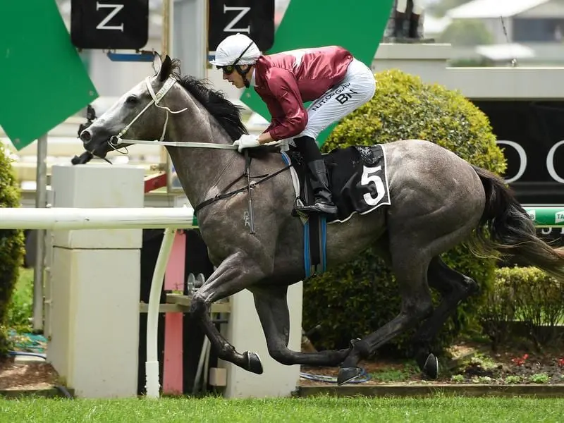 Lady Banff wins at Doomben.