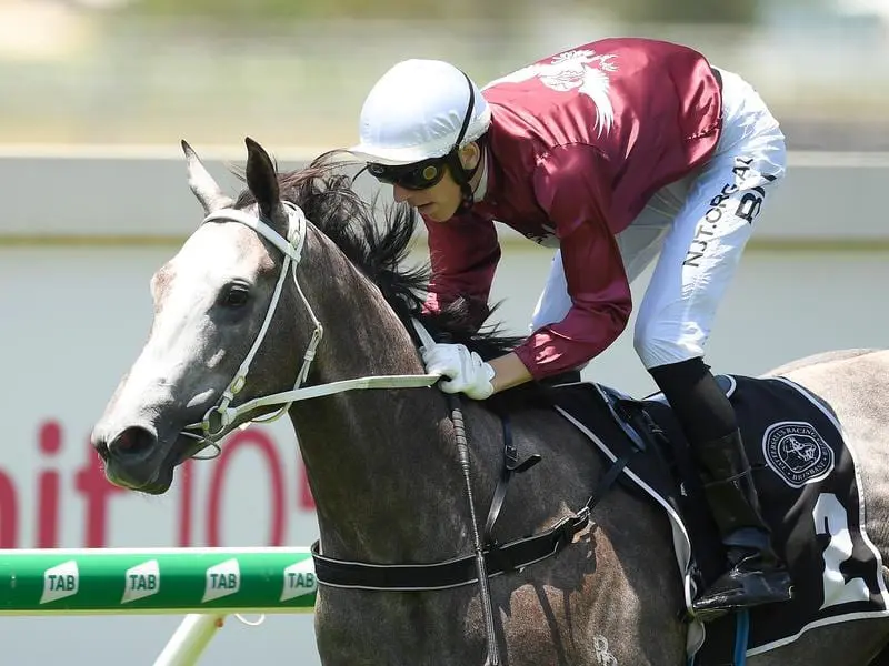 Lady Banff wins at Doomben