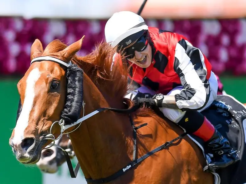 Fighting Teo wins at Eagle Farm.