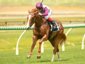 Dusty Tycoon