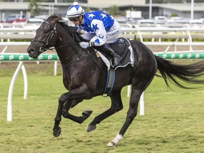 The Odyssey wins at Eagle Farm.