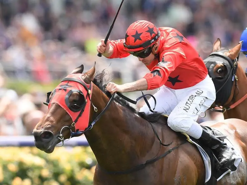 Bravo Tango wins at Flemington on Melbourne Cup day.