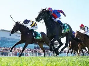 Today’s horse racing tips & best bets | July 16, 2021 True Self