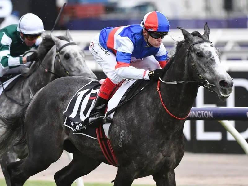 Craig Williams wins on Bumper Blast at Flemington.