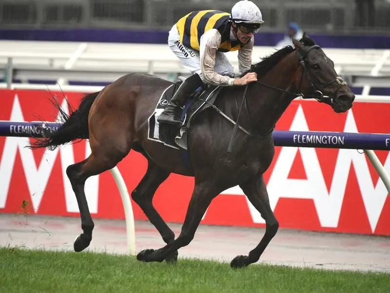 Downdraft wins the Hotham Stakes at Flemington.