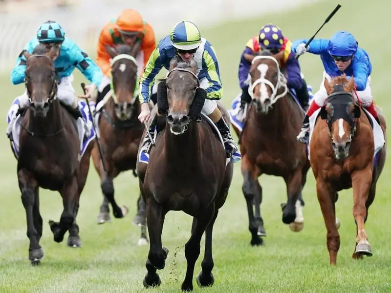 Hard Landing wins the Maribyrnong Plate.