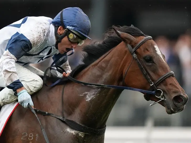 Damien Oliver wins on Miami Bound at Flemington.