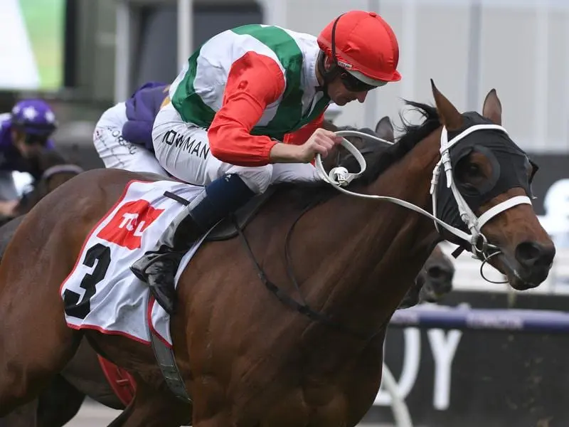 Pancho wins at Flemington on VRC Oaks day.