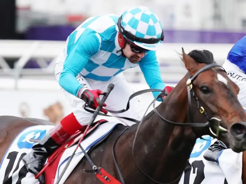 Reykjavik wins the Chatham Stakes at Flemington.