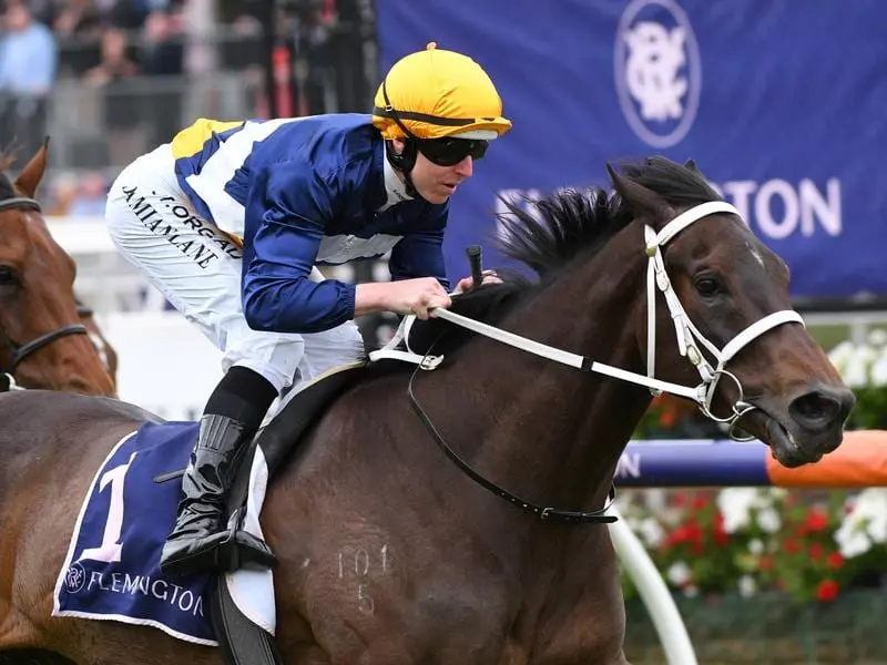 Savvy Oak wins at Flemington.