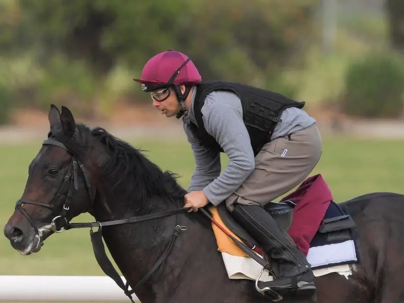 ten sovereigns