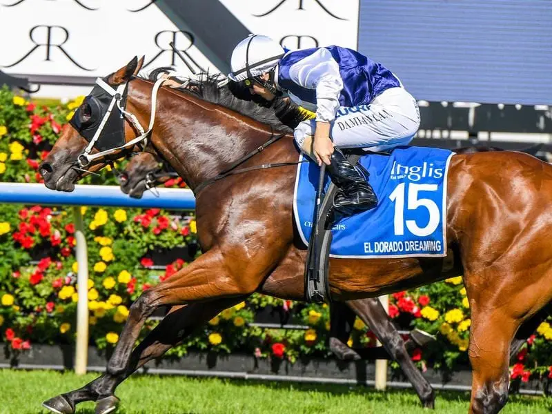 El Dorado Dreaming is rated among the leading chances for a $1 million race at Kembla Grange. El Dorado Dreaming.