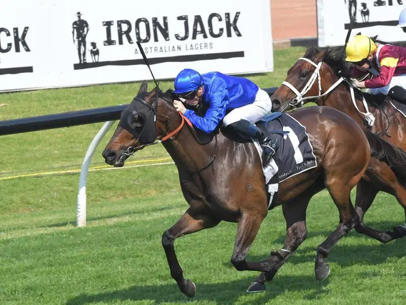 Tally wins the $500,000 Rosehill Gold Cup.