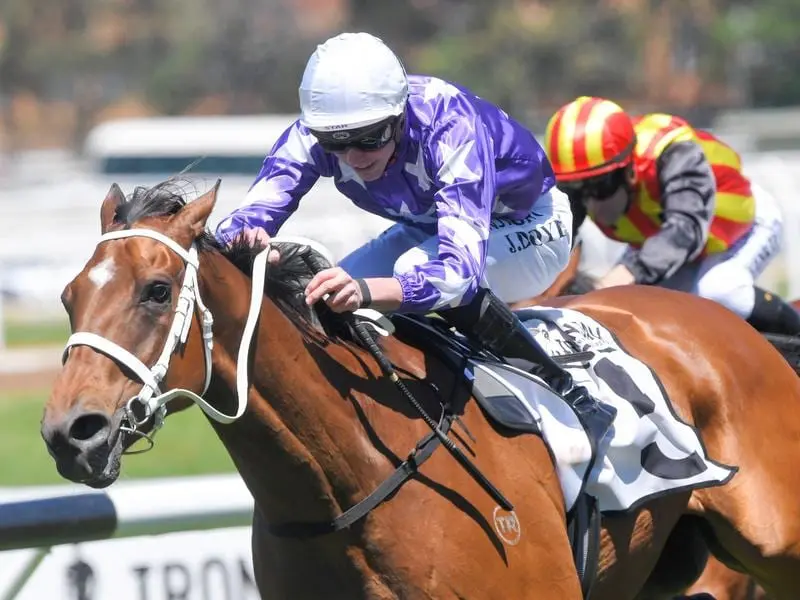 Humbolt Current wins at Rosehill for jockey James Doyle.