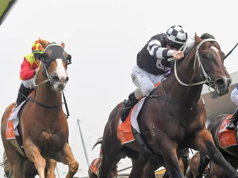 Sandbar beats stablemate Junglized at Rosehill.