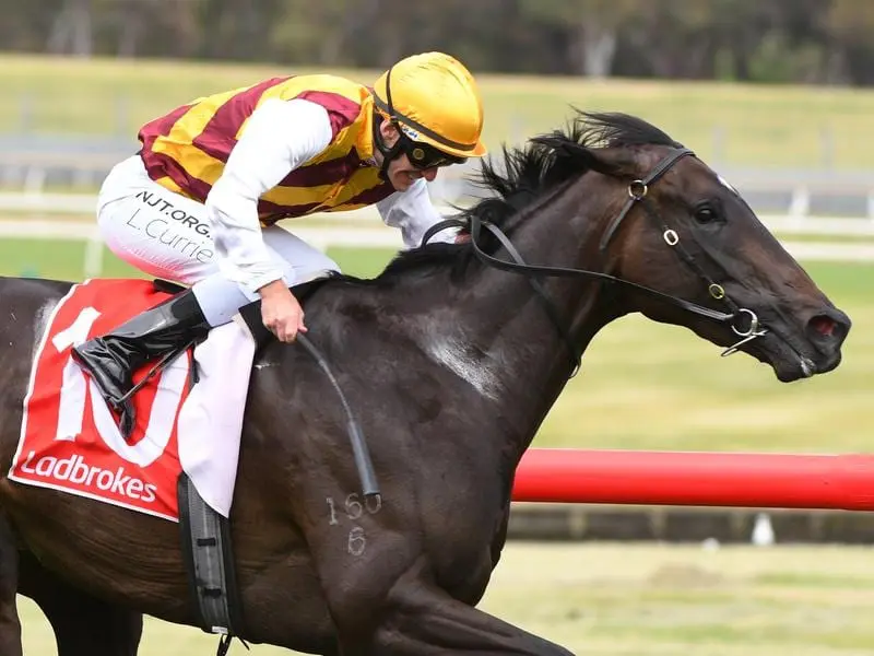 Pretty Brazen wins the Sandown Guineas.