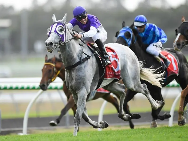 The Candy Man wins at the Sunshine Coast.