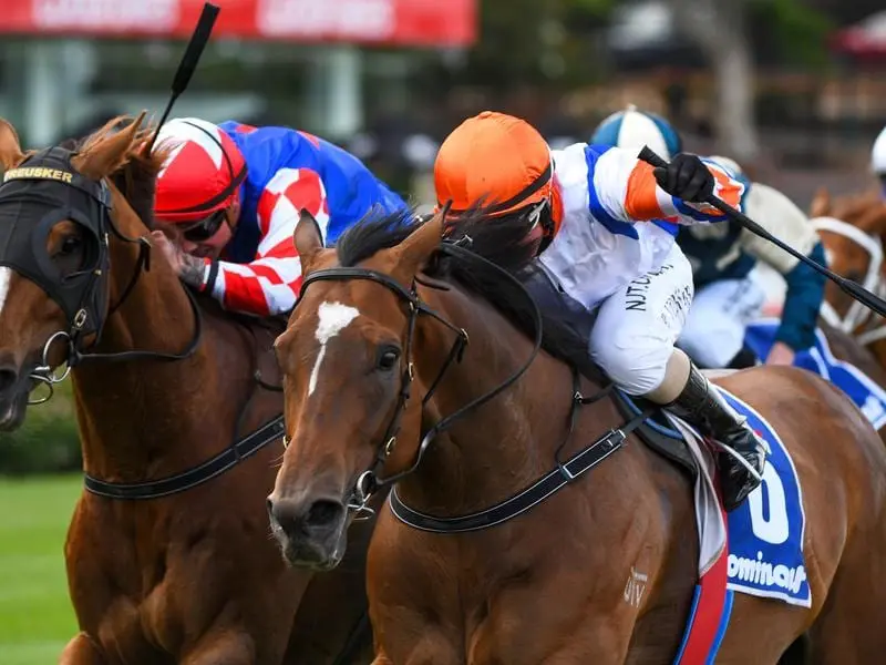 Secret Blaze (right) wins at The Valley.