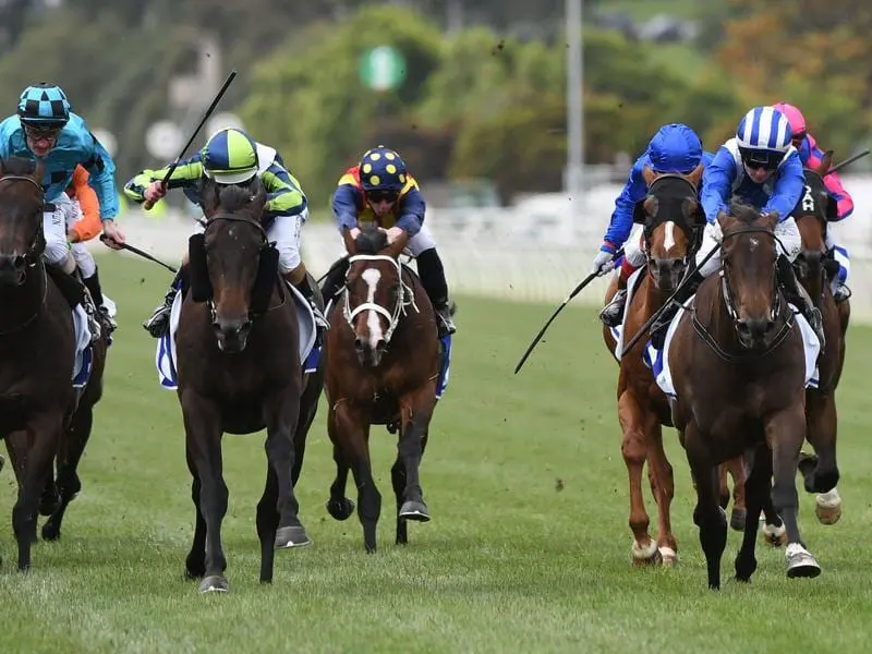 Baaqyah (blue striped cap) will try to go one better at The Valley than her half head 2nd on debut. baaqyah (r)