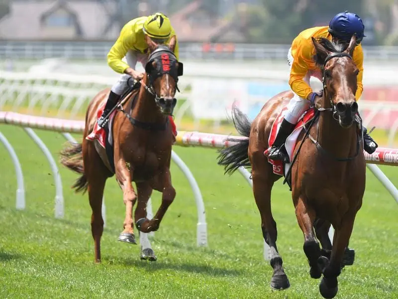 Mrs Beckham wins at Caulfield.